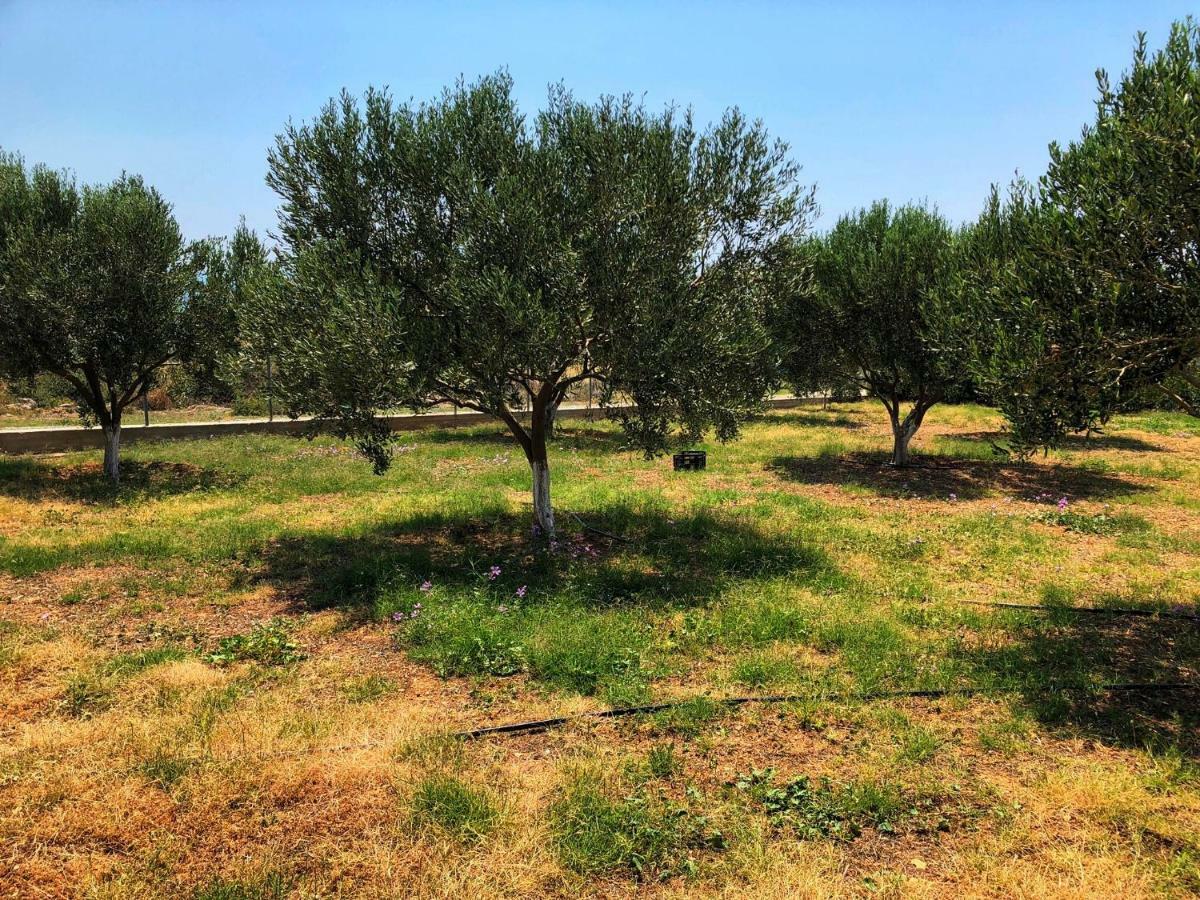 The Hillhouse Near Alexandroupolis Villa Exterior photo